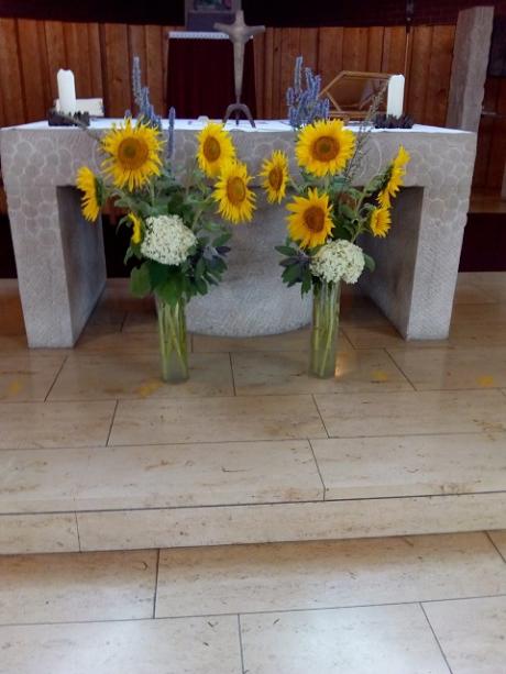 Sonnenblumen Reichenbach