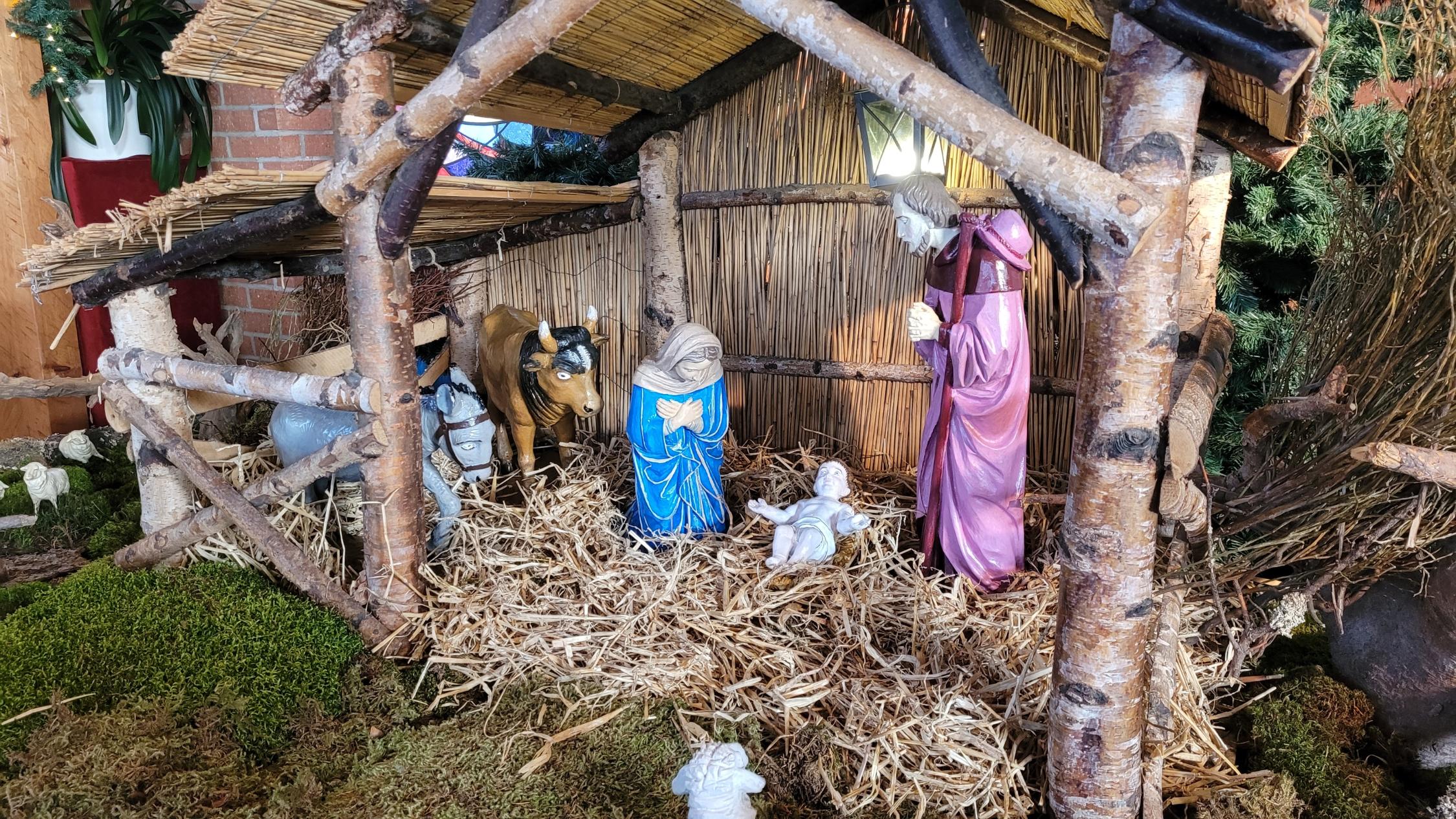 Sternsinger Reichenbach 2025